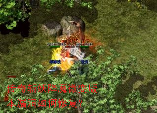 ����ն����ħ΢��汾©������޸���