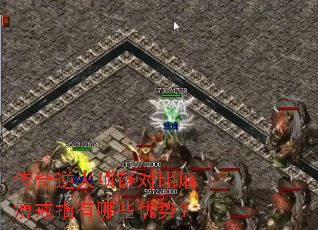 ������������Ա���Խ�ָ����Щ���ƣ�