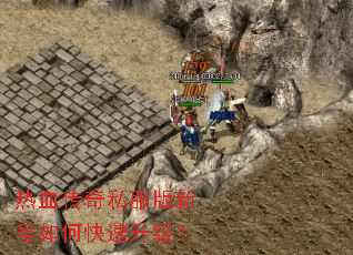 ��Ѫ����˽�����º���ο���������