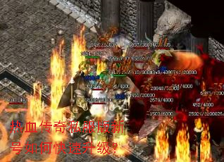 ��Ѫ����˽�����º���ο���������