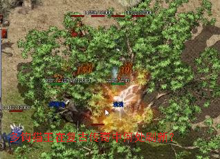 �๳è���ڸ��Ŵ����кδ�ˢ�£�