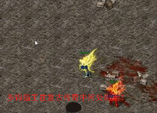 �๳è���ڸ��Ŵ����кδ�ˢ�£�