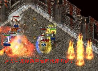 达人告诉你勋章如何快速升级? 达人告诉你勋章如何快速升级?