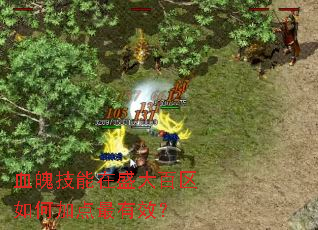 血魄技能在盛大百区如何加点最有效? 血魄技能在盛大百区如何加点最有效?