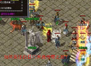 ���ǰ�������ſ�������֮�ã�