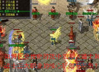 ������ִ�����Ϸ�з�ʦ����ʿ��սʿ����ְҵ�ĺ����淨����ɫ��