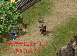 ���촫��˽��������ο�������ս����