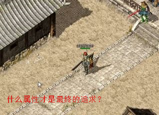 ʲô���Բ������յ�׷��