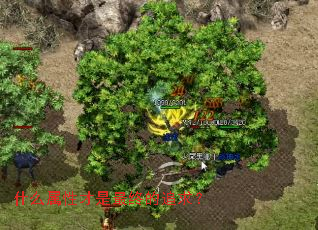 ʲô���Բ������յ�׷��