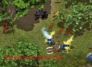 ����װ����������Ϊ���棿