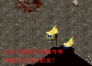 սʿΪ�γ�Ϊ�������������ܻ�ӭ��ְҵ��