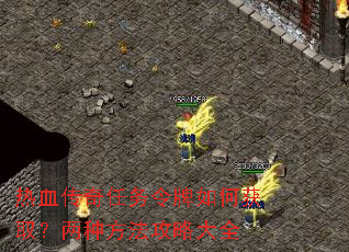 ��Ѫ��������������λ�ȡ�����ַ������Դ�ȫ