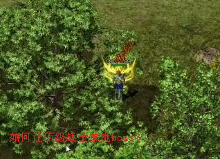 如何让顶级战士单挑boss? 如何让顶级战士单挑boss?