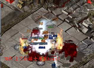 ����ö���սʿ����boss��