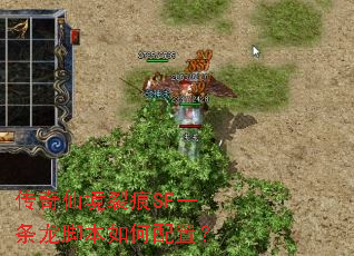 �����ɾ��Ѻ�SFһ�����ű�������ã�