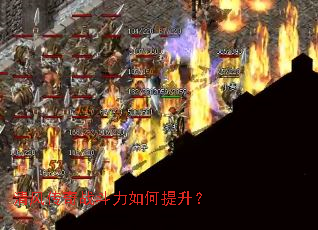 ��紫��ս�������������