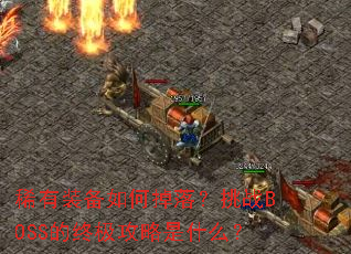 ϡ��װ����ε��䣿��սBOSS���ռ�������ʲô��