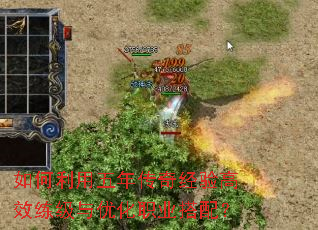 ����������괫�澭���Ч�������Ż�ְҵ���䣿