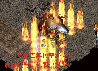 ����������괫�澭���Ч�������Ż�ְҵ���䣿