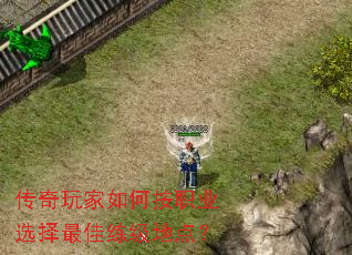 ���������ΰ�ְҵѡ����������ص㣿