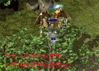 ����sfѫ���������ԣ���ο�������ѫ�µȼ���