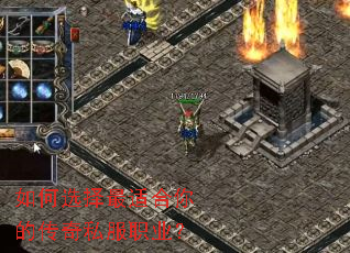 ���ѡ�����ʺ���Ĵ���˽��ְҵ��