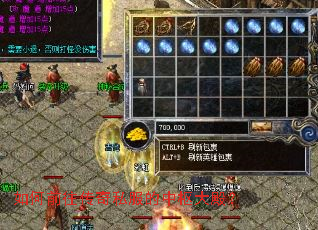 如何前往传奇私服的中枢大殿? 如何前往传奇私服的中枢大殿?