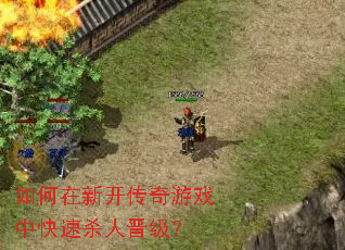 ������¿�������Ϸ�п���ɱ�˽�����