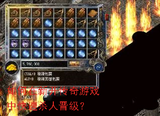 ������¿�������Ϸ�п���ɱ�˽�����