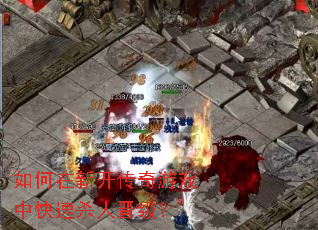 ������¿�������Ϸ�п���ɱ�˽�����