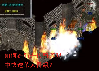 ������¿�������Ϸ�п���ɱ�˽�����