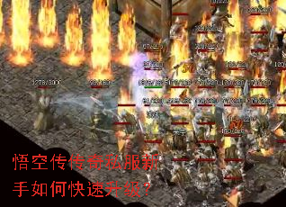 ��մ�����˽��������ο���������