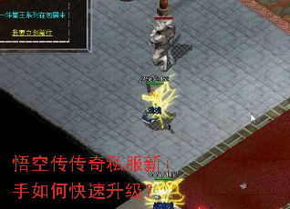 ��մ�����˽��������ο���������