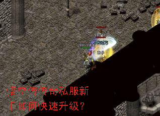 ��մ�����˽��������ο���������