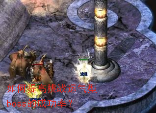 ��������ս������boss�ĳɹ��ʣ�