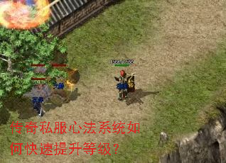 ����˽���ķ�ϵͳ��ο��������ȼ���