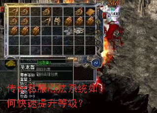 ����˽���ķ�ϵͳ��ο��������ȼ���