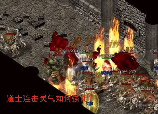 ��ʿ�����������ǿ����