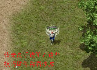 ������ֽ��ף���Щ��������ư�ɳ��