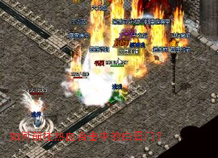 ���ǰ����Ѫ�ϻ��еİ����ţ�