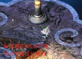 �������NPC���漼�յ��������ʵ����