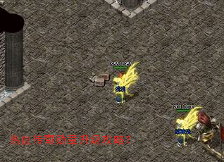 ��Ѫ����ѫ���������ԣ�