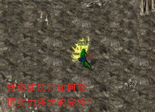 ����SF��ʦ��λ��ʵ��ǿ��ĳ��