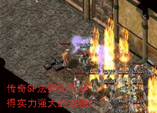 ����SF��ʦ��λ��ʵ��ǿ��ĳ��