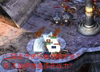 ����־����˽�����Դ�ȫ��������ο�������ս����