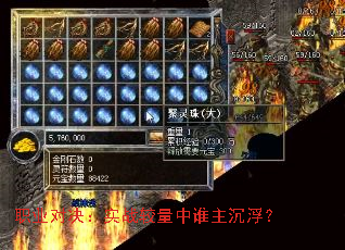 ְҵ�Ծ���ʵս������˭��������