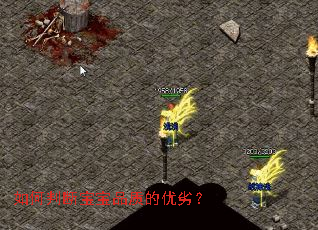 如何判断宝宝品质的优劣? 如何判断宝宝品质的优劣?