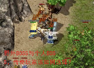 Ұ��BOSS�����BOSS��������Ҹ����ѡ��