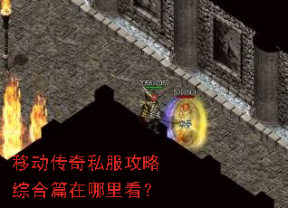 �ƶ�����˽�������ۺ�ƪ�����￴��