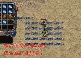 �ƶ�����˽�������ۺ�ƪ�����￴��